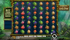 Fruits of the Amazon