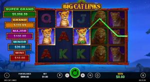 Big Cat Links