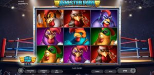 Rooster Fury