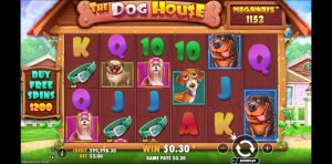 The Dog House Megaways