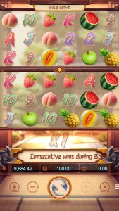 Ninja Raccoon Frenzy